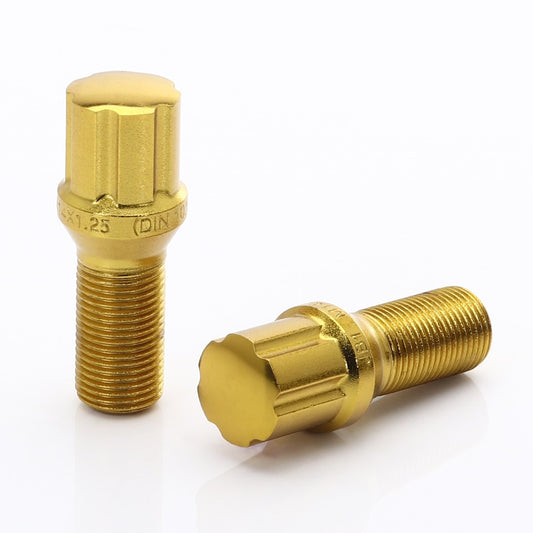 Set 20 Prezoane Gold tip Stea M14x1,5 + Cheie