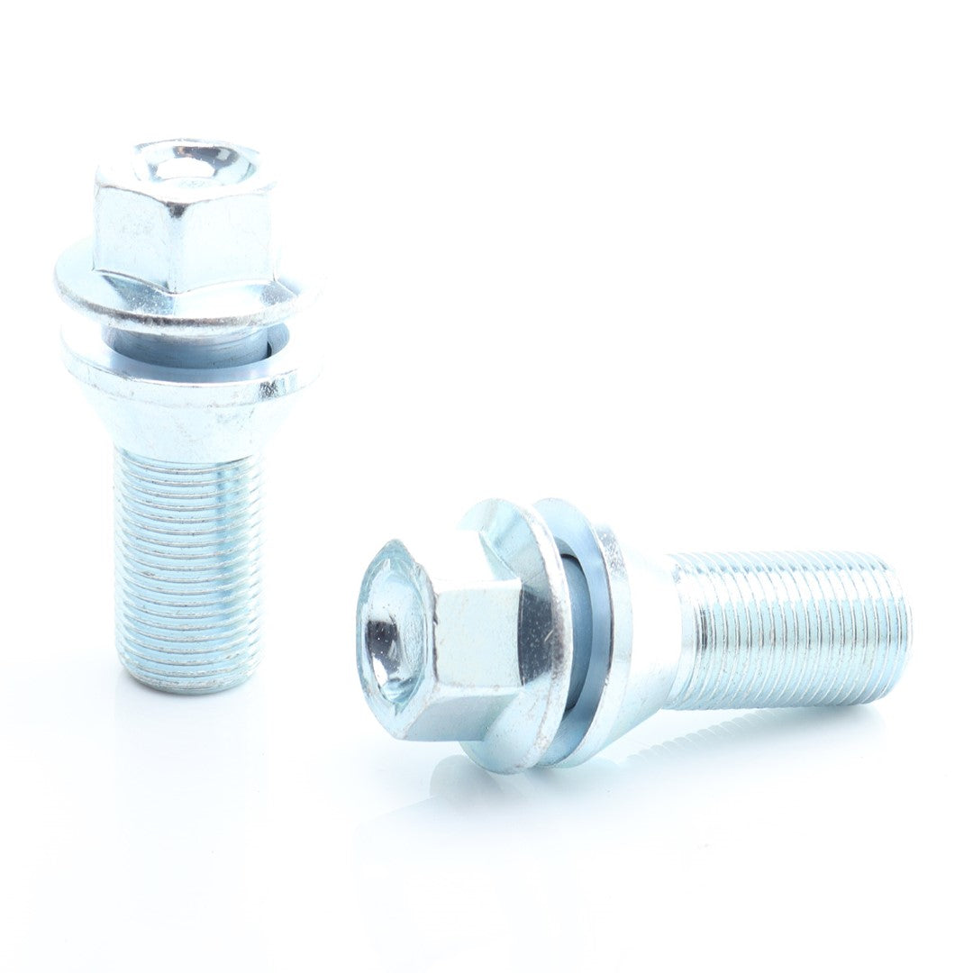 Set 20 Prezoane Silver tip hex M15x1,25