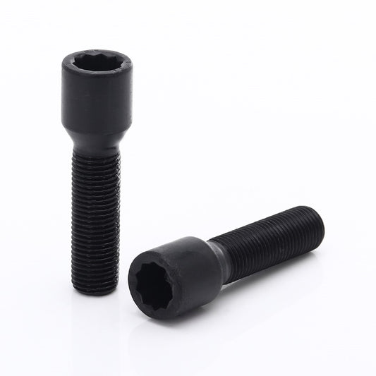 Set 10 Prezoane Negre tip Stea M12x1,5 + Cheie