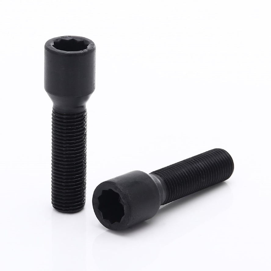 Set 10 Prezoane Negru tip Stea M14x1,5 + Cheie