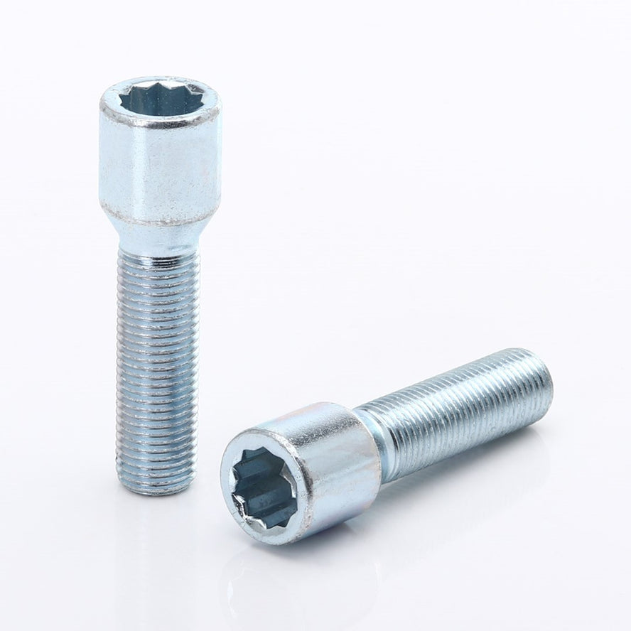 Set 10 Prezoane Silver tip Stea M14x1,25 + Cheie