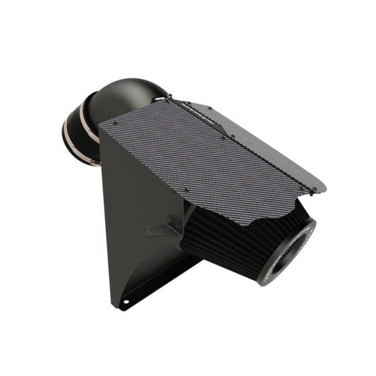 Admisie aer sport PRORAM (carbon)