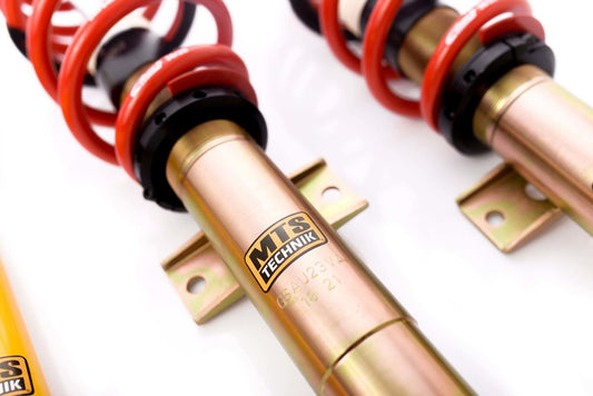 Suspensie sport reglabila MTS-Technik (STANCE)  MTSGWAU54-S