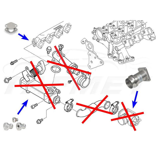 Kit anulare EGR BMW M57N