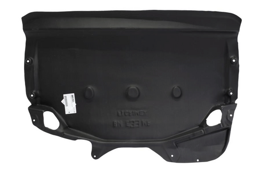 Scut motor BMW E39 Starline